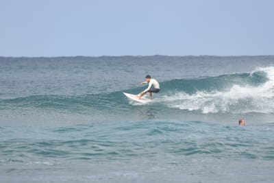 DSC_8140.JPG