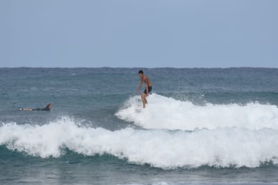 DSC_8164.JPG
