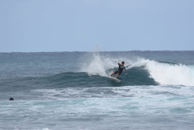 DSC_8166.JPG