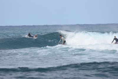 DSC_8172.JPG