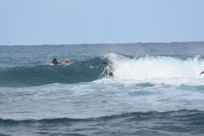 DSC_8173.JPG