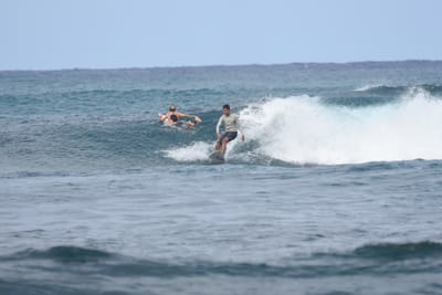 DSC_8181.JPG