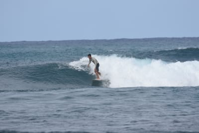 DSC_8184.JPG