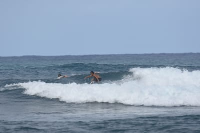 DSC_8195.JPG