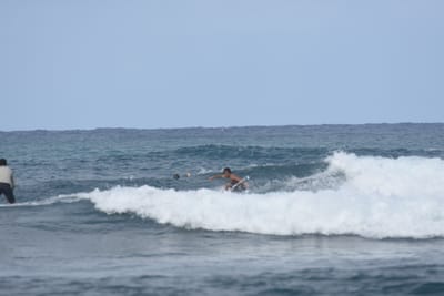 DSC_8196.JPG