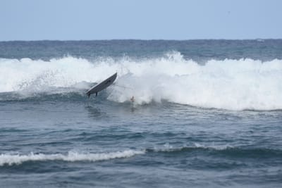 DSC_8200.JPG