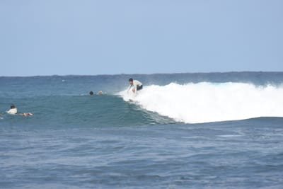 DSC_8202.JPG