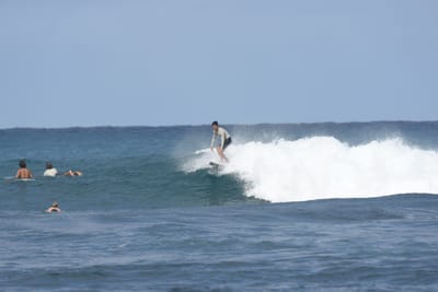 DSC_8204.JPG