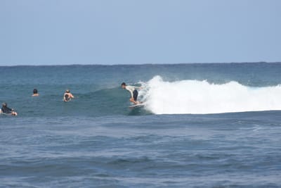DSC_8208.JPG