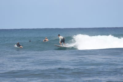 DSC_8209.JPG