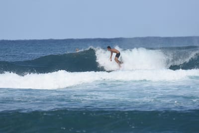 DSC_8224.JPG