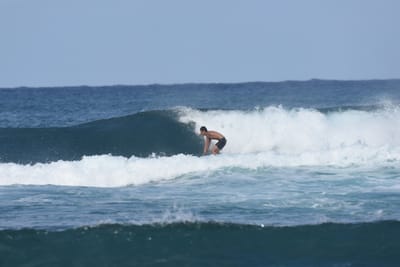 DSC_8225.JPG