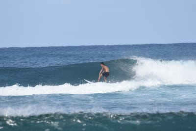 DSC_8227.JPG