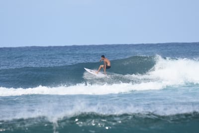 DSC_8229.JPG