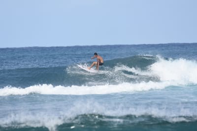 DSC_8230.JPG