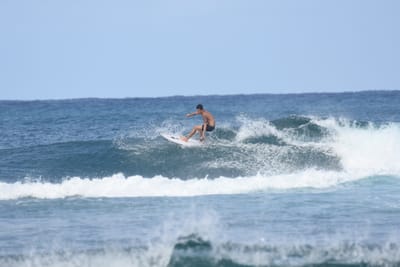DSC_8231.JPG
