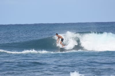 DSC_8242.JPG