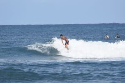 DSC_8255.JPG