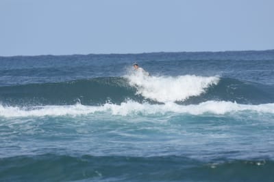 DSC_8258.JPG