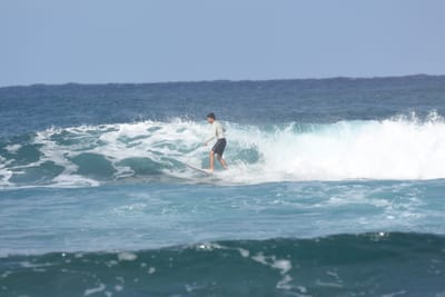 DSC_8262.JPG