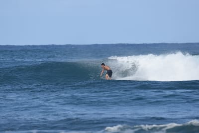 DSC_8278.JPG