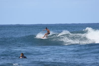 DSC_8284.JPG