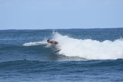 DSC_8294.JPG