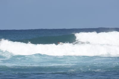 DSC_8297.JPG