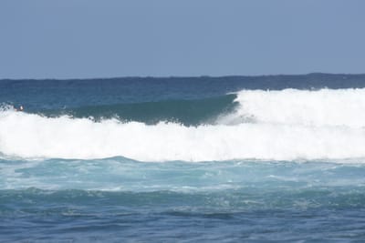 DSC_8298.JPG