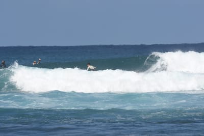 DSC_8299.JPG