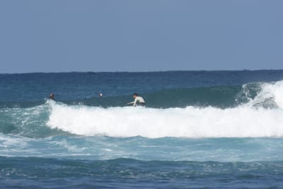 DSC_8300.JPG