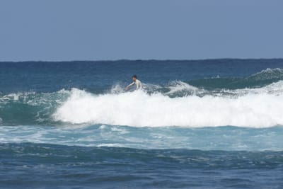 DSC_8303.JPG