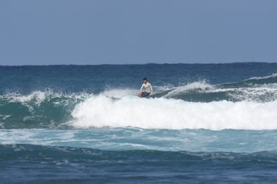 DSC_8305.JPG