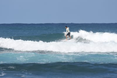 DSC_8313.JPG