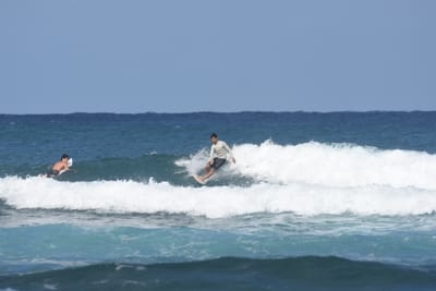 DSC_8314.JPG