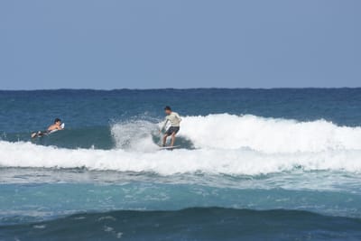 DSC_8316.JPG