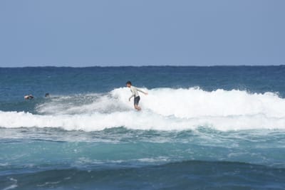 DSC_8317.JPG