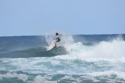 DSC_8322.JPG