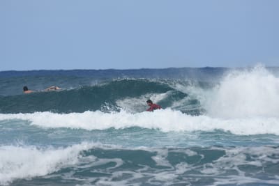 DSC_8323.JPG