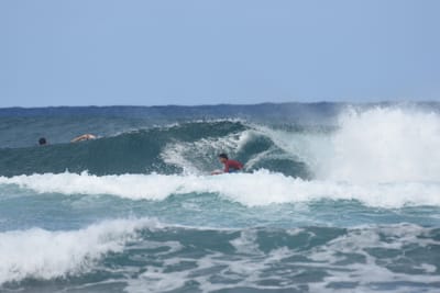 DSC_8324.JPG