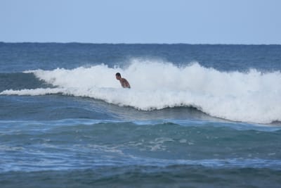DSC_8333.JPG