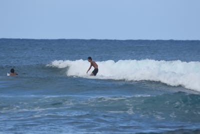 DSC_8334.JPG