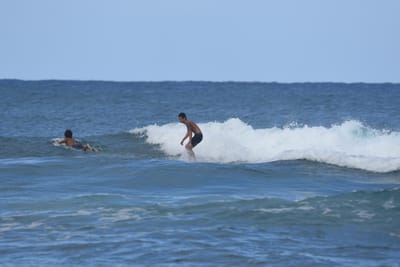 DSC_8335.JPG