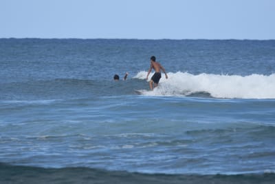 DSC_8336.JPG