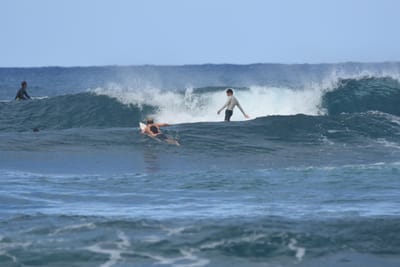 DSC_8337.JPG