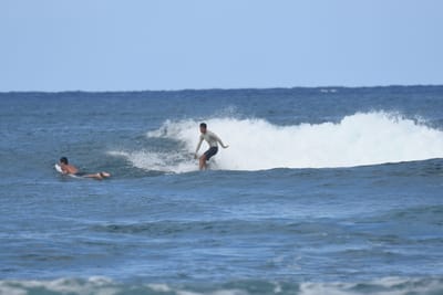 DSC_8339.JPG