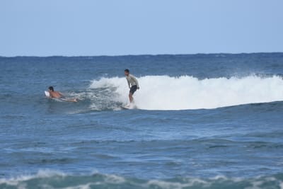 DSC_8340.JPG