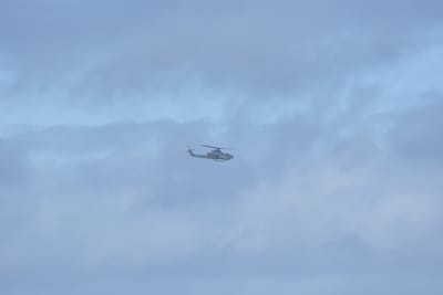 DSC_8342.JPG