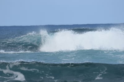 DSC_8348.JPG