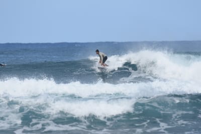 DSC_8350.JPG
